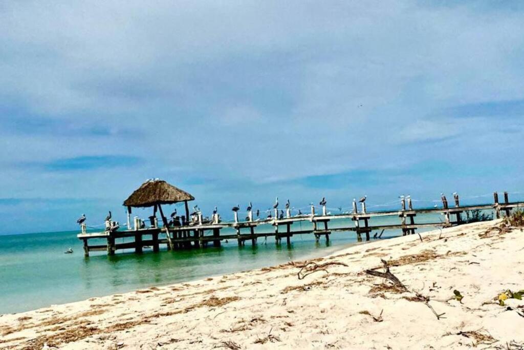 Beachfront Apartment With Swimming Pool. One Bedroom Celestun Bagian luar foto