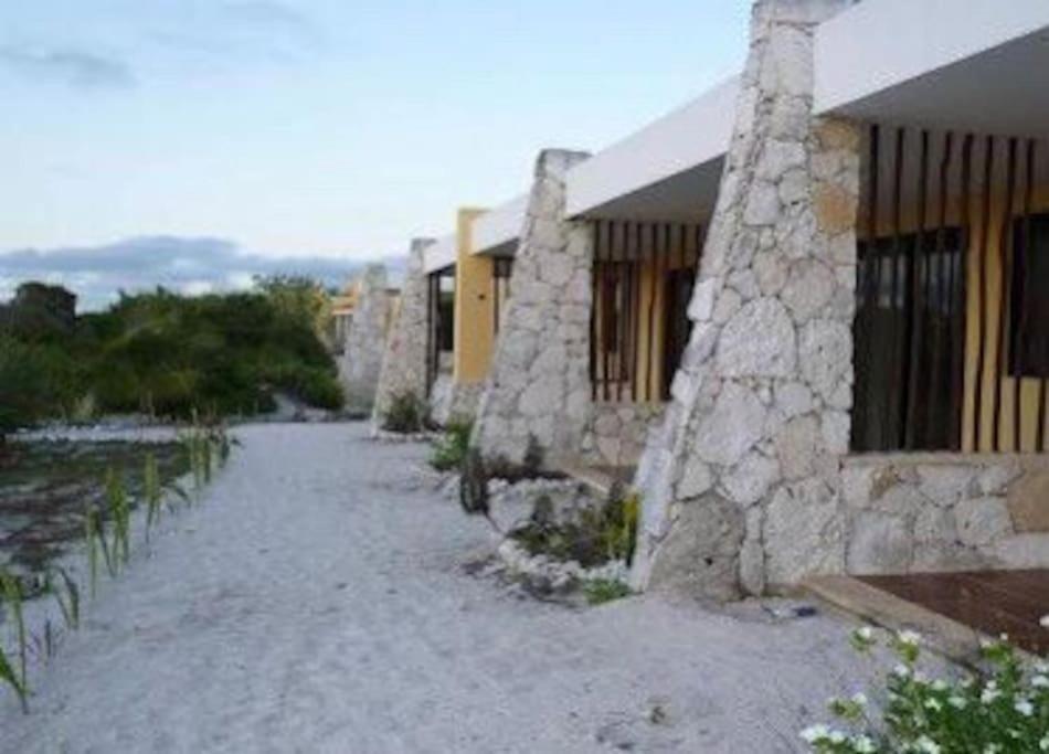 Beachfront Apartment With Swimming Pool. One Bedroom Celestun Bagian luar foto