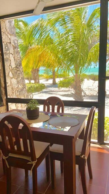 Beachfront Apartment With Swimming Pool. One Bedroom Celestun Bagian luar foto