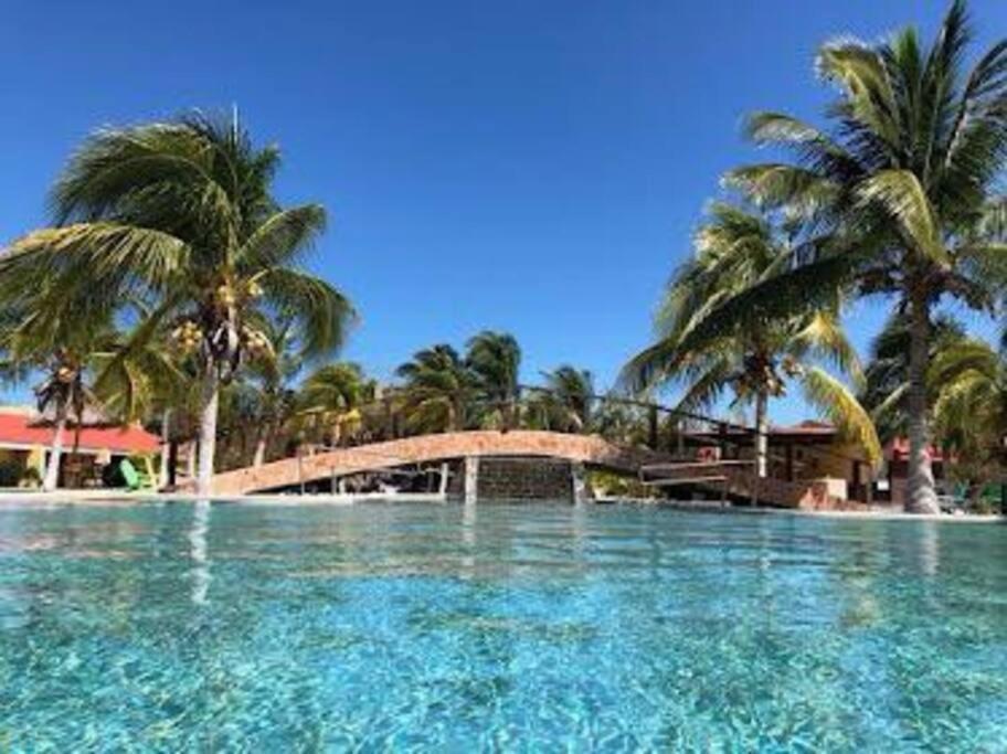Beachfront Apartment With Swimming Pool. One Bedroom Celestun Bagian luar foto