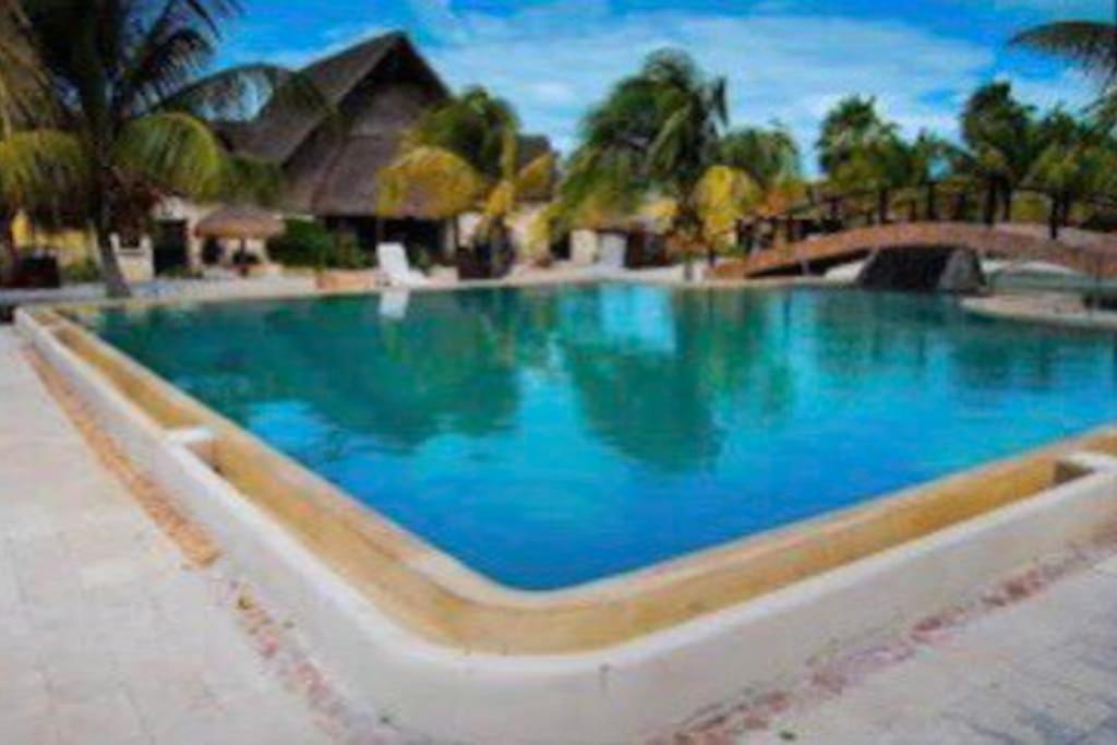 Beachfront Apartment With Swimming Pool. One Bedroom Celestun Bagian luar foto