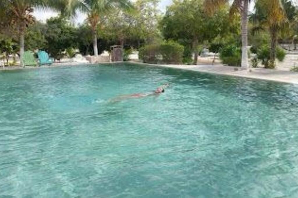 Beachfront Apartment With Swimming Pool. One Bedroom Celestun Bagian luar foto