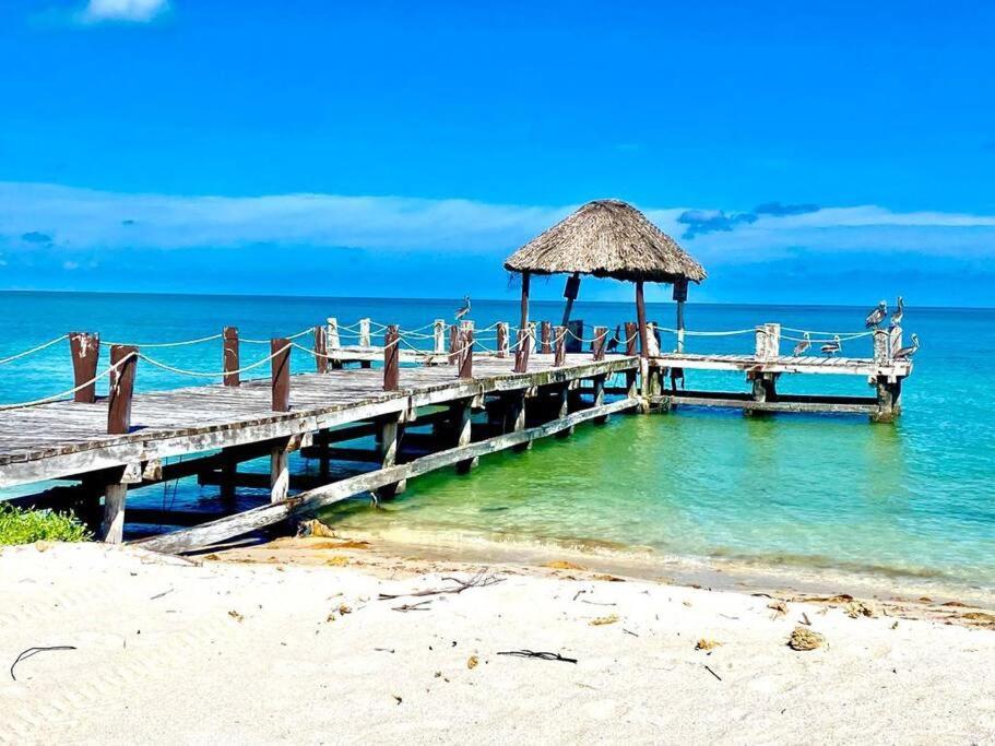 Beachfront Apartment With Swimming Pool. One Bedroom Celestun Bagian luar foto