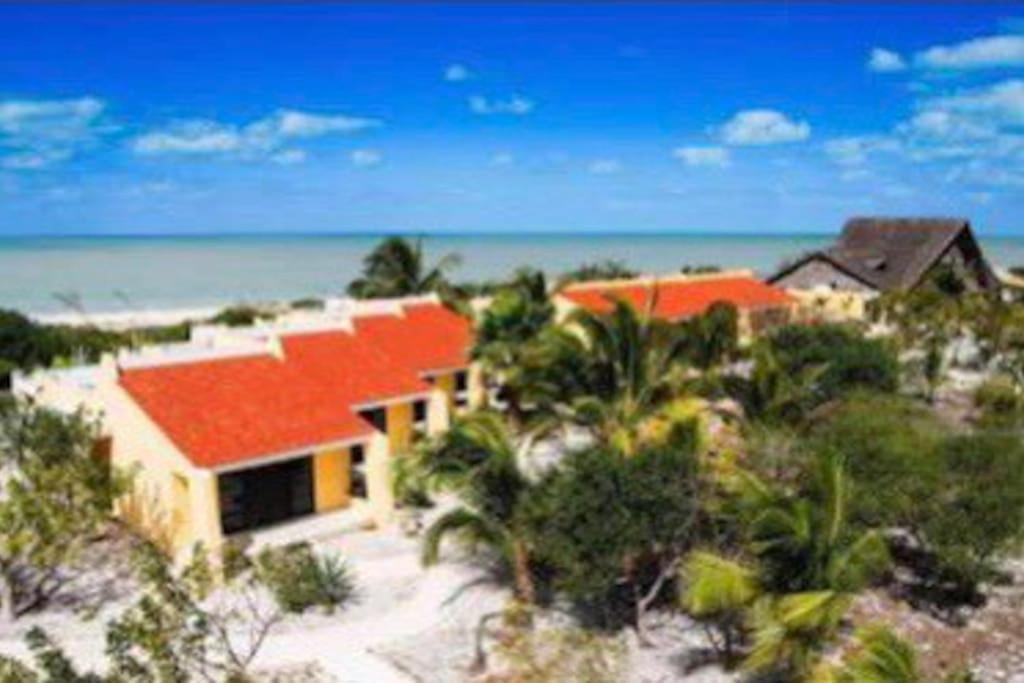 Beachfront Apartment With Swimming Pool. One Bedroom Celestun Bagian luar foto